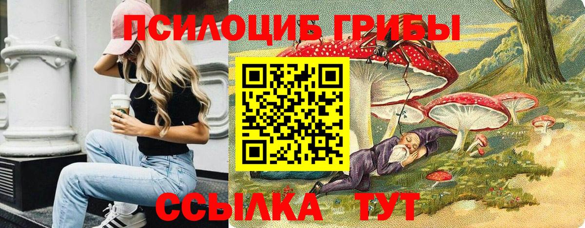 Псилоцибиновые грибы Cubensis  Псилоцибиновые грибы Psilocybine cubensis  Балтийск  Вход с VPN 